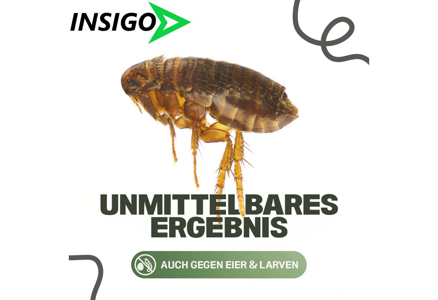 INSIGO Insektenspray Anti Floh-Spray Floh-Mittel Ungezieferspray, 2 l Bild 5