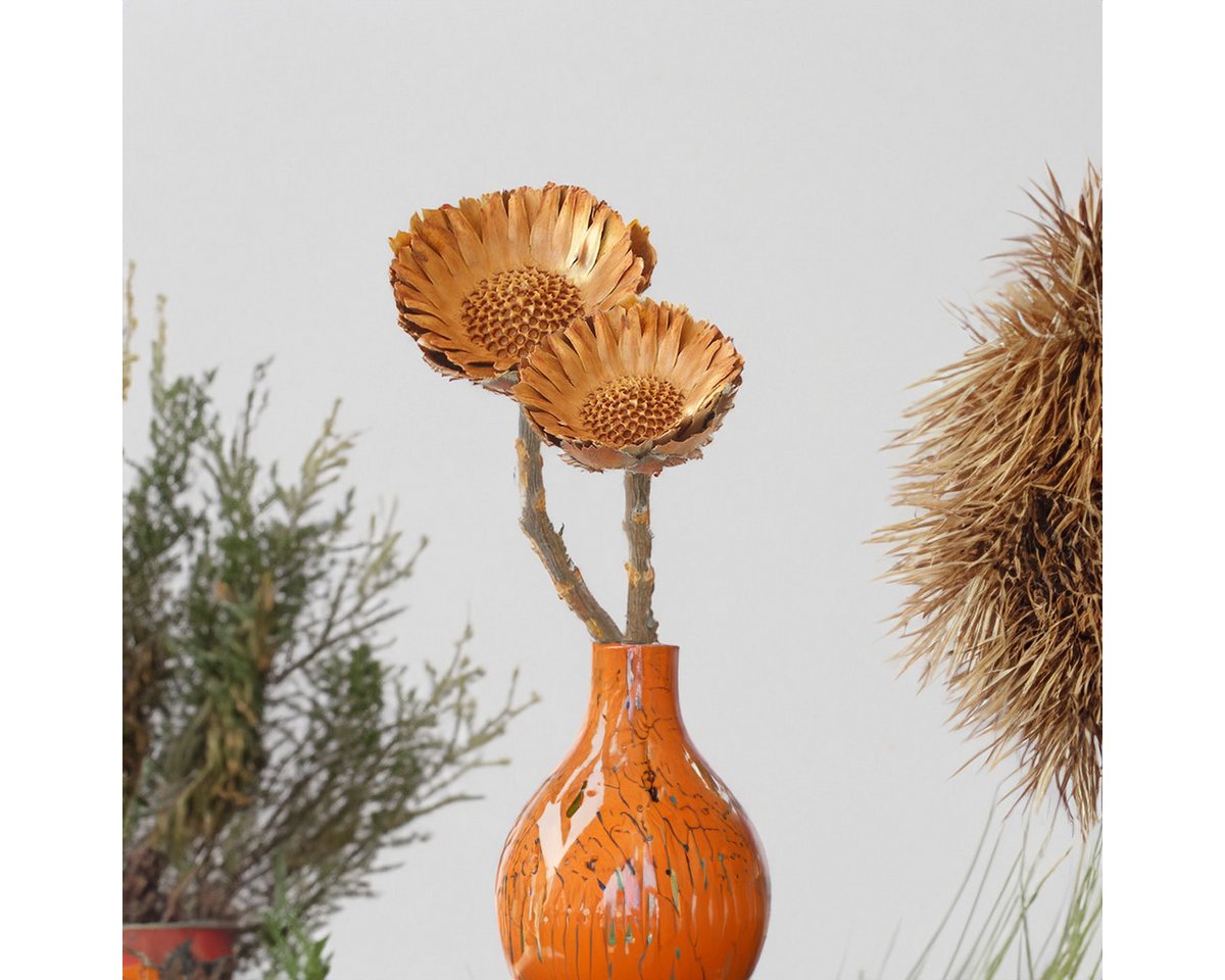 matches21 HOME & HOBBY Bilderrahmen Protea Trockenblumen orange natur 5er Set afrikanische Zuckerbüsche, (5 St), Getrocknete Blumen als Boho-Deko Trockenpflanzen Tischdeko Basteln