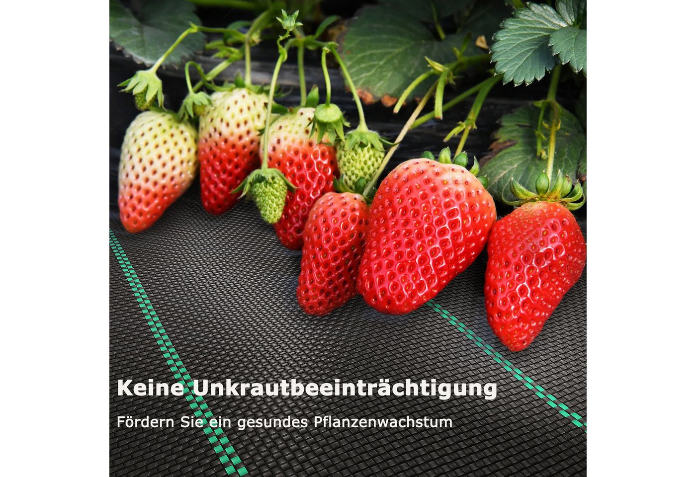 OUNUO Unkrautvlies Unkrautvlies Gartenvlies Unkrautfolie 3m breit, 3x10 Meter Rolle-70g/m² Bild 5