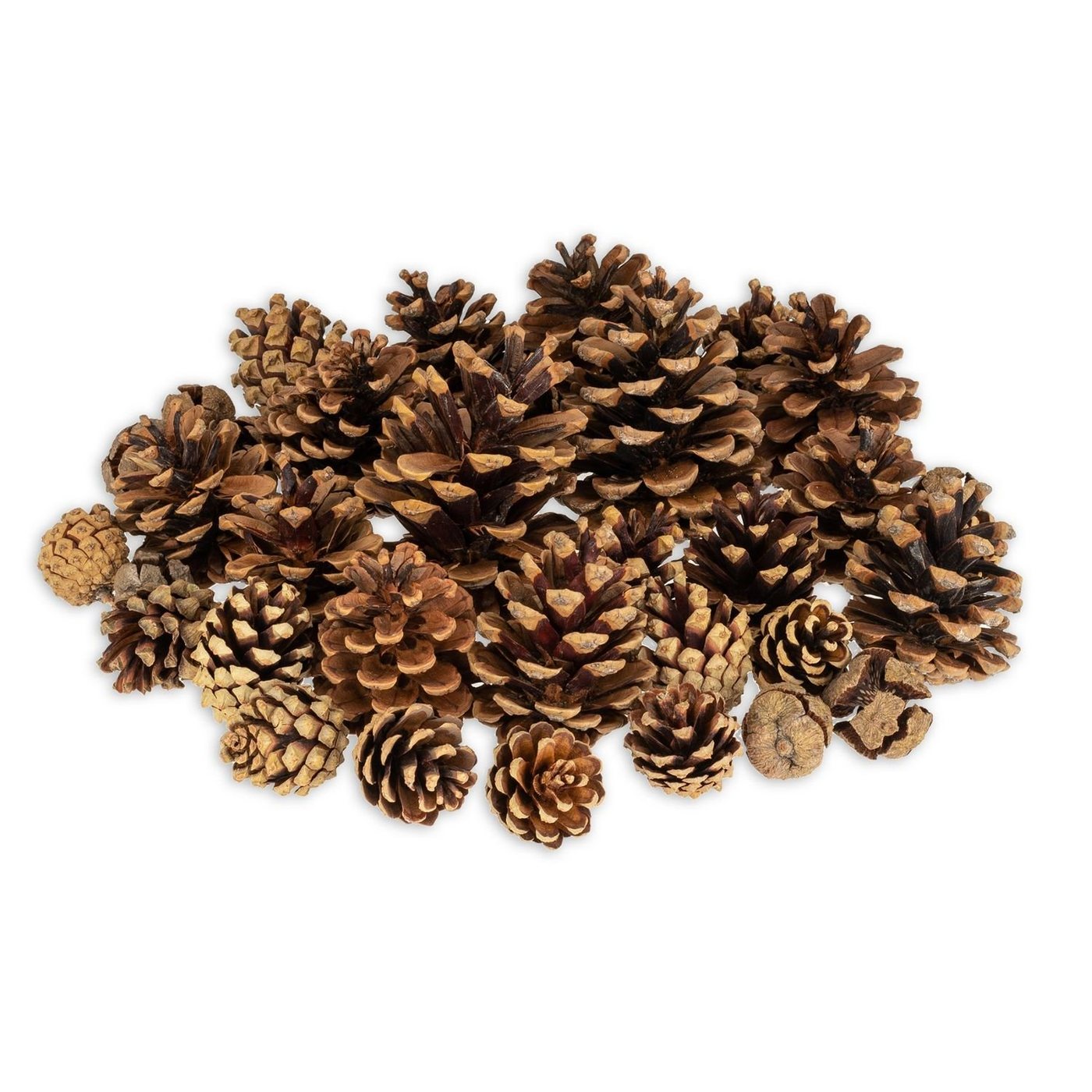 NaDeco Bastelnaturmaterial Tannenzapfen-Mix verpackt mit 400g Zapfenmischung