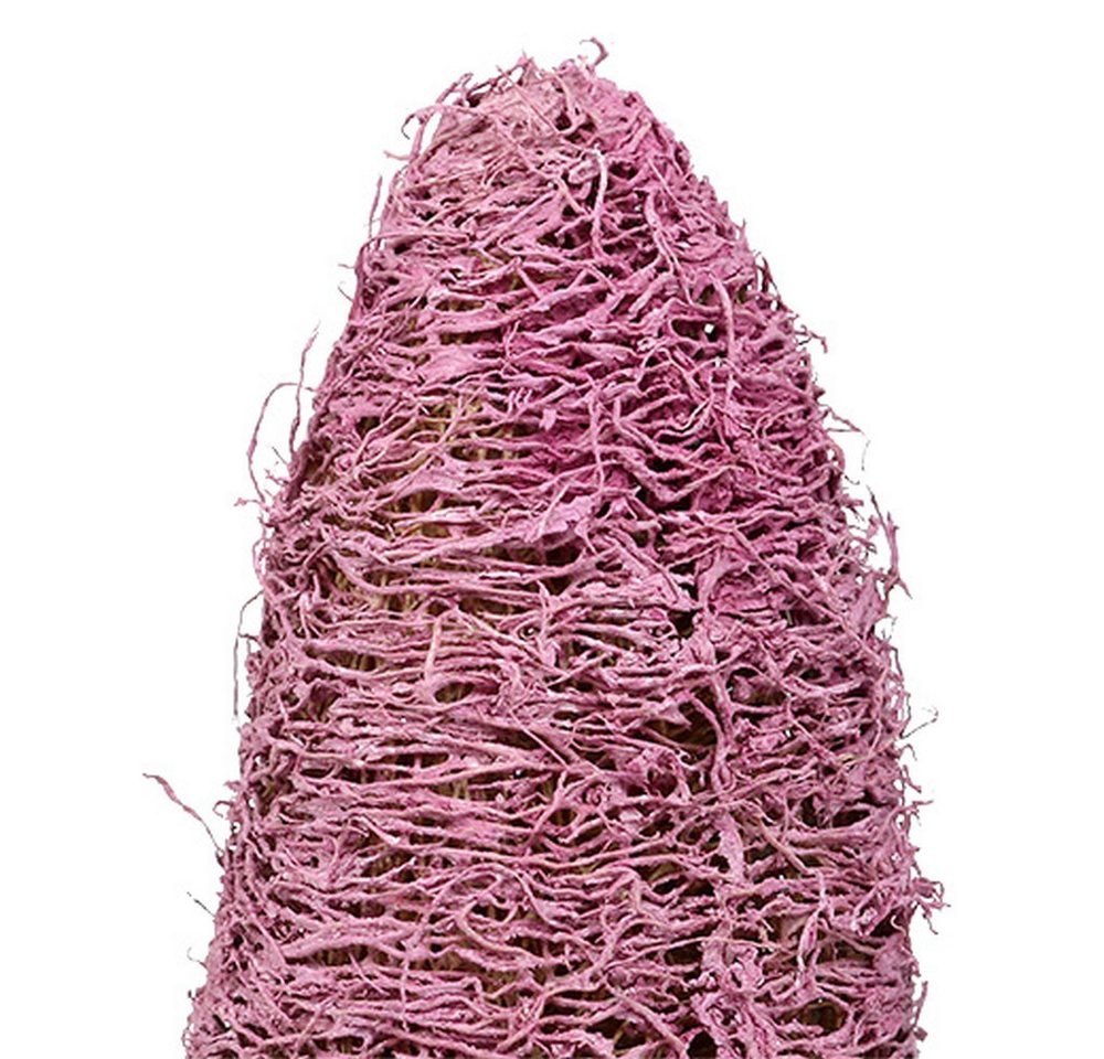 Florists Products Bastelmoos Luffa Schwamm am Stiel Groß Naturdeko Rosa Erika, Trockendeko, 25 Stü Bild 3
