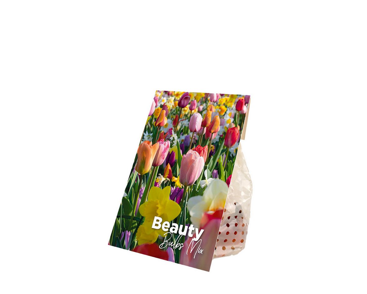Bloomique Blumenzwiebeln Bloomique - Mischung aus 50 - Beauty Mix - Mischung aus 6 Sorten - Blu, (50-St) Bild 2