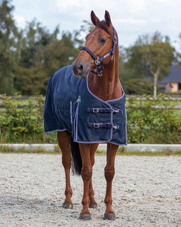 QHP Pferde-Regendecke Regendecke Turnout Luxus 0gr Bild 2