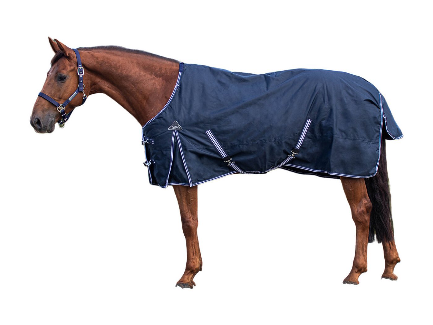 QHP Pferde-Regendecke Regendecke Turnout Luxus 0gr Bild 5