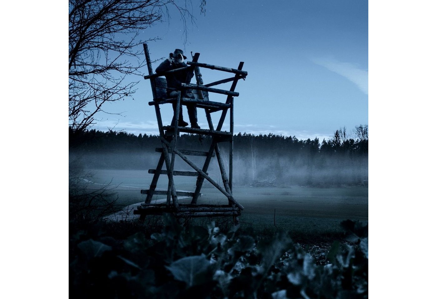 Steiner Nighthunter 8x56 Fernglas (Jagd, Nachtglas, Feldstecher, Jagdfernglas) Bild 5