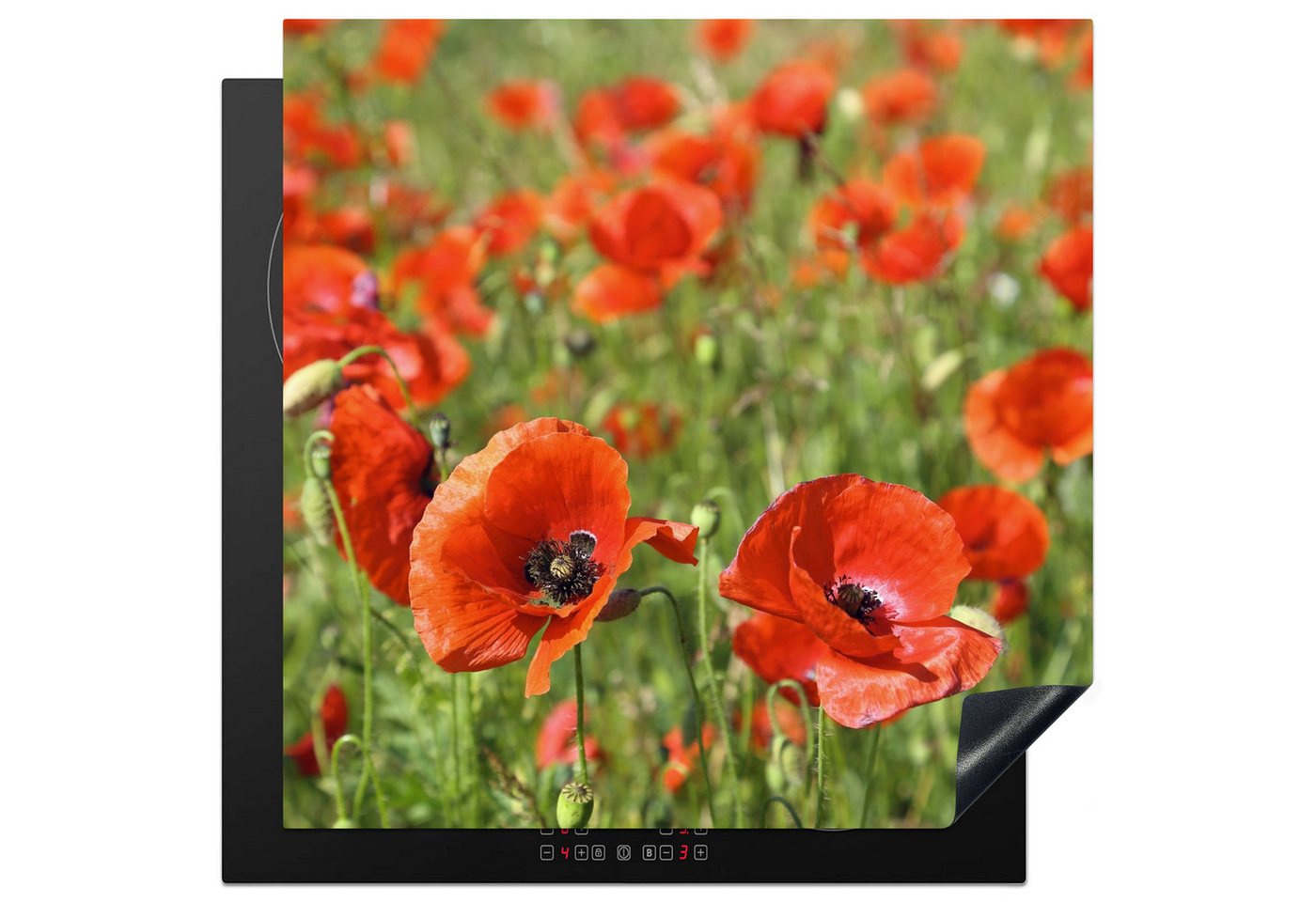 MuchoWow Herd-Abdeckplatte Blumen - Mohnblumen - Rot - Grün, Vinyl, (1 tlg), Küche Herdabdeckung Ceranfeld Induktionsfeld Vinyl, 60x60 cm Bild 4