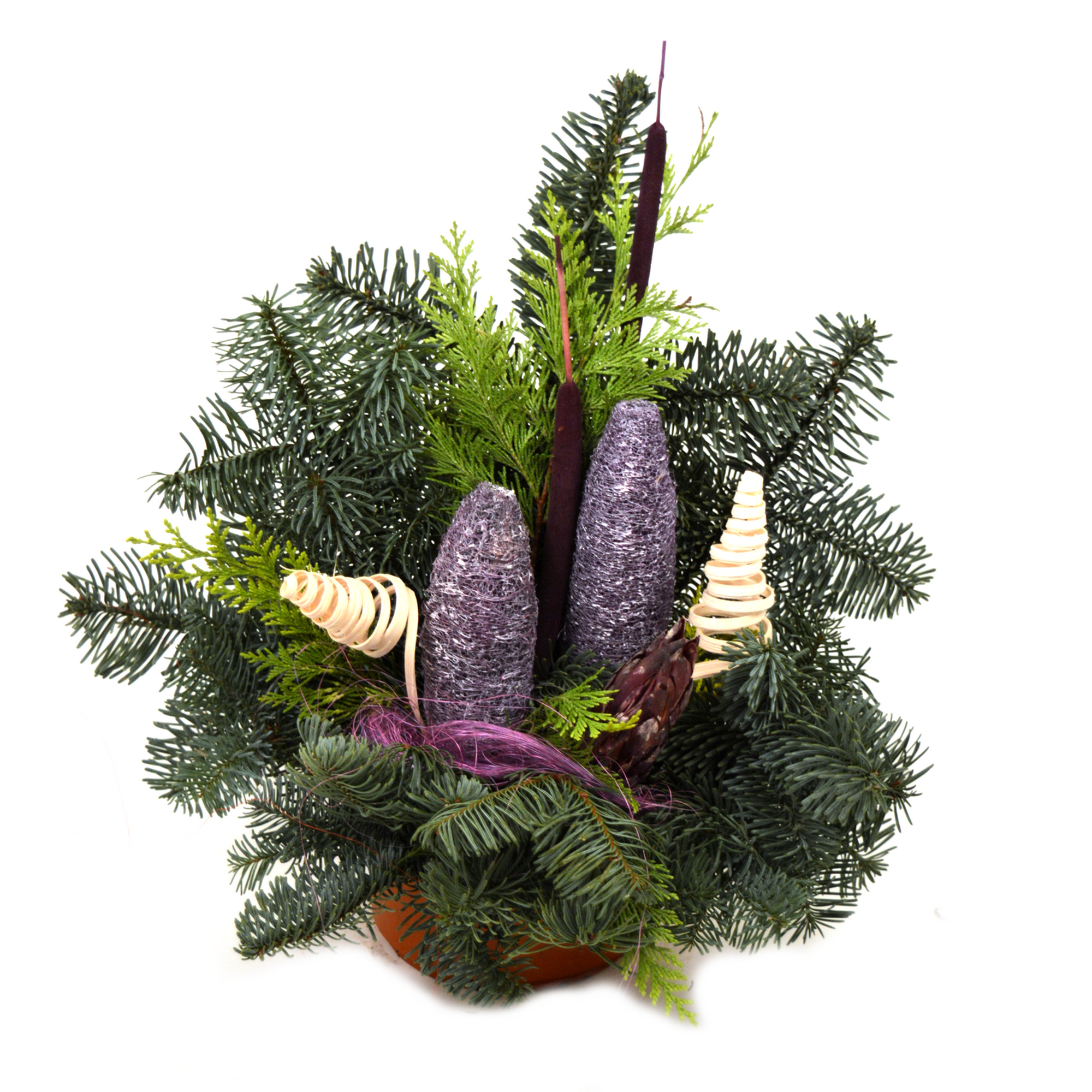 toom Grabschale brombeere Nobilis-Tanne 40 x 30 cm