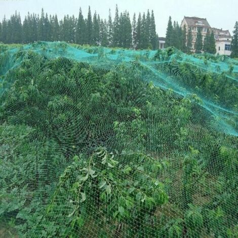Filet Anti-oiseaux Pour Plantes, Arbres Fruitiers Et Autres Végétaux, 4 X 10 M