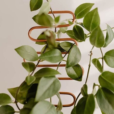 Support Grimpant Pour Plantes De Jardin, Porte-pot De Fleurs Créatif Et Géométrique