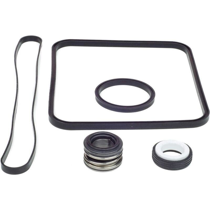 Ecleanfy Ersatzdichtung Für Super Pump Für Hayward Go Kit, Kompatibel Mit Den Modellen Sp1600, Sp2600 Regular, X, Vsp, Spx1600tra, Sp1600z2, Ps-201, Spx1600r, Spx1600s Und Spx1600t Pools