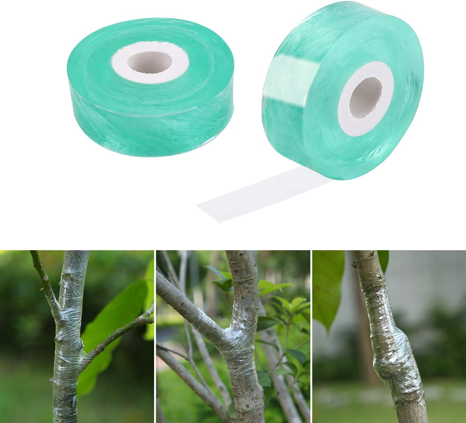 Greffage Ruban, 2 Pices 2cm100m Rubans De Greffage, Pepiniere Greffage Ruban Etirable Auto Adhesive Biodegradables, Greffe Ruban Adhsif Sans Danger Et Respectueux De L'Environnement (vert)