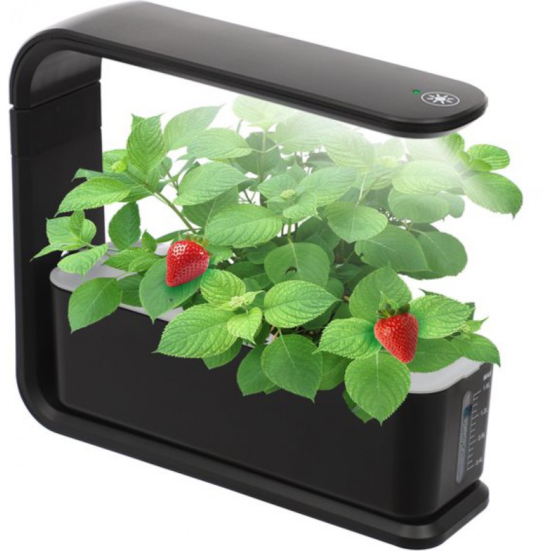 Schwarzes Hydroponik-system Mit Pflanzenlampe, Ideal Für Zuhause, Küche Und Fensterbank. Geeignet Für Kräuter, Gemüse Und Obst.