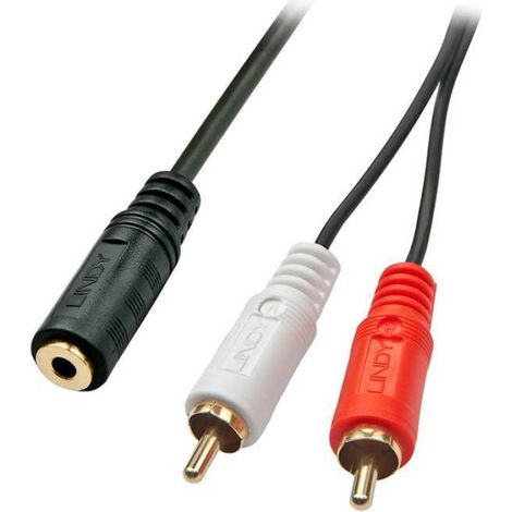 Hochwertiges Audiokabel 2 X Cinch (cinch) Auf 3,5-mm-klinkenbuchse – Audioadapter – Geschirmt