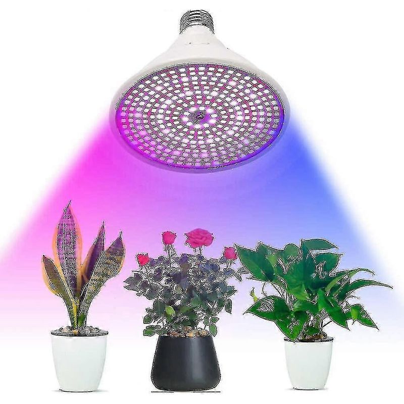 Lot De 5 Ampoules Led Décoratives, E27, Pour La Maison, Les Cafés, Les Bars Et Les Environnements Intérieurs, Application Domestique Polyvalente Dans Différents Espaces.-aquaforge