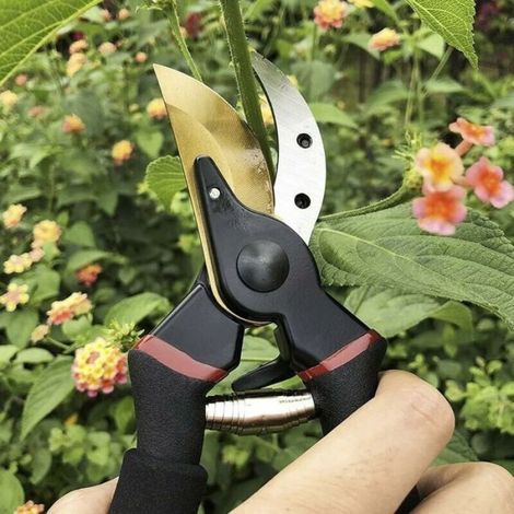 Professionelle Bypass-gartenschere, Handschere, Gartenschere, Heckenschere - Liaiki