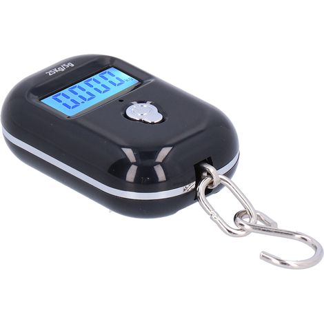 Balance Électronique Portable, Mini Affichage Rétro-éclairé, Équipement De Pesage 25kg Pour Le Shopping