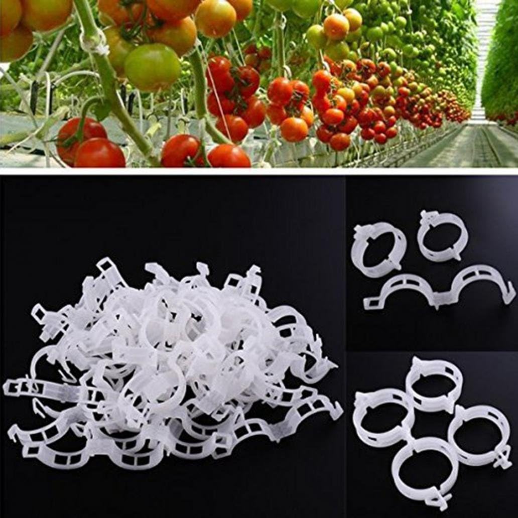 100er-pack Pflanzenstützen Für Gemüse, Tomaten Und Kletterpflanzen – Für Ein Aufrechtes Und Gesünderes Wachstum, 2,6 Cm X 2 Cm, Weiß