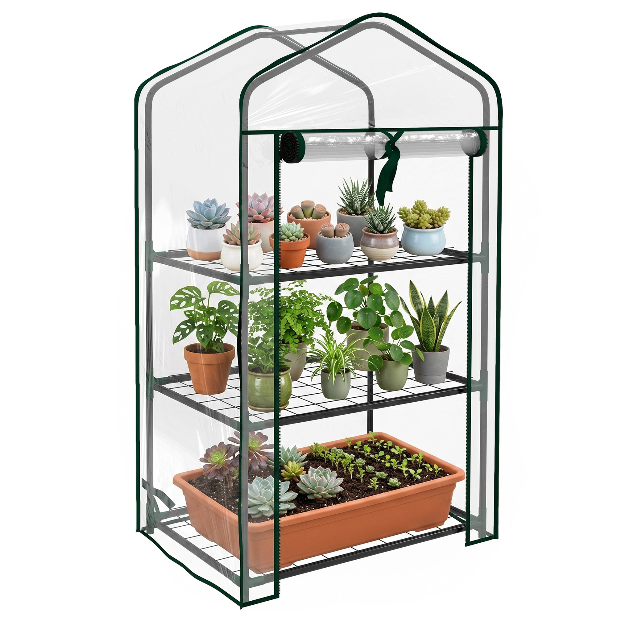 Gewächshaus, 59 X 39 X 127 Cm, Transparent