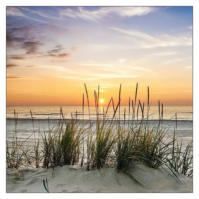 ProArt Maritime Glasbild (Lonely Dune, B x H: 20 x 20 cm)