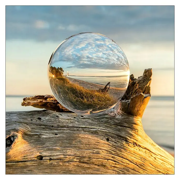 ProArt Glasbild (Drop on Wood, B x H: 30 x 30 cm)