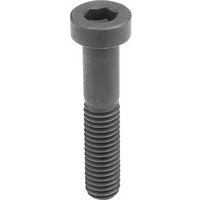 ZYLINDERSCHRAUBE MIT INNENSECHSKANT, NIEDRIGER KOPF, DIN6912 M12X30, STAHL 8.8 BLANK (SCHWARZ) Bild 2