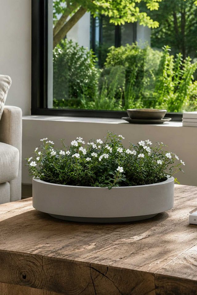 VIVANNO Pflanzschale Fiberglas ESCADA LOW Schale - Betongrau Beton-Design (1 St), 55x13 cm Bild 3