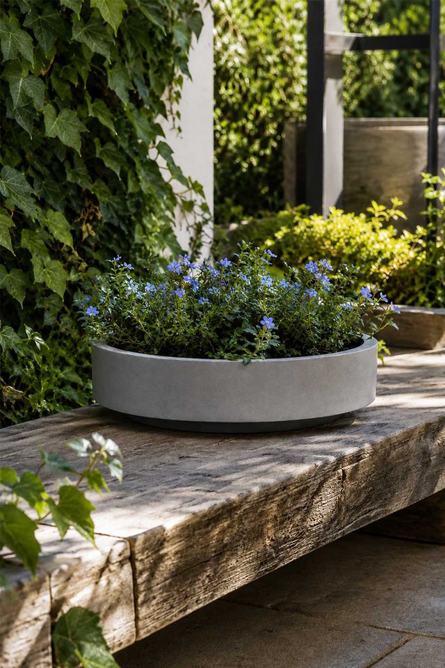 VIVANNO Pflanzschale Fiberglas ESCADA LOW Schale - Betongrau Beton-Design (1 St), 55x13 cm Bild 5