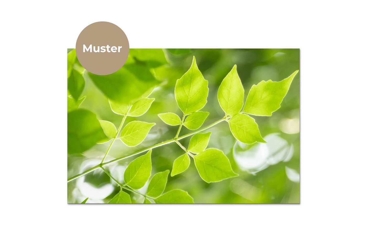 KitchenYeah Küchenrückwand Muster selbstklebend (keine Folie) Natur - Frühling - Grün - Blätter, (1-tlg), Spritzschutz, Küche, Rückwand, Küchenwand, Küchenfront, 30x20 cm Bild 3