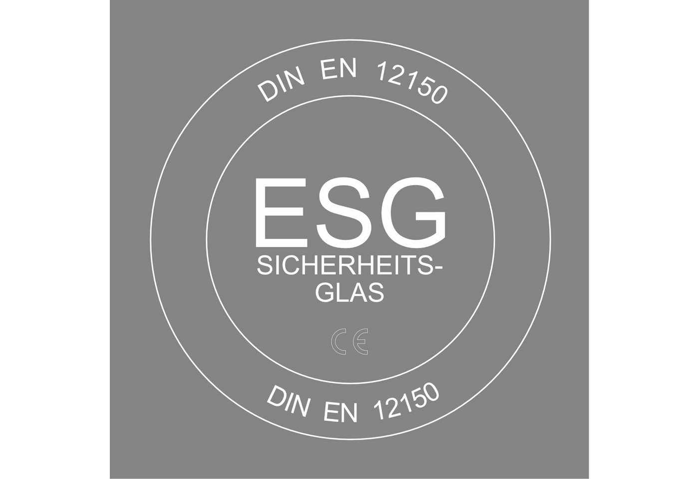 Teico Duschwand Duschabtrennung mit Stabistange 8 mm ESG Glas 1200x2000 mm, Sicherheitsglas