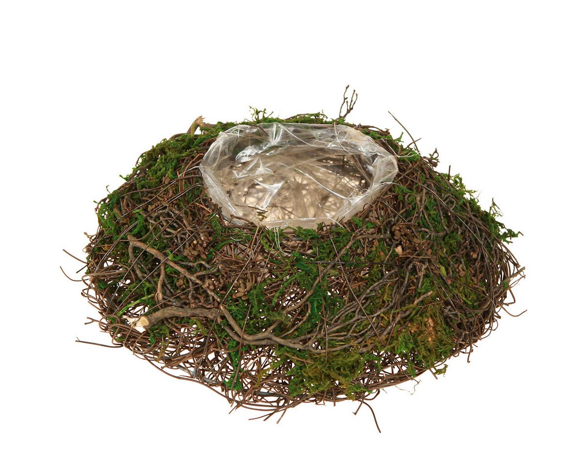 Florists Products Pflanzschale Dekorative Pflanzschale aus Reben und Moos mit Folie für