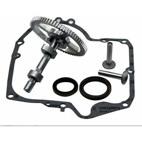 Green Mobility – Briggs & Stratton Nockenwellen-austauschsatz 793880 793583 792681 791942 795102 Mit Öldichtung 795387 Und Ruikalucky Kurbelgehäusedichtungen 697110
