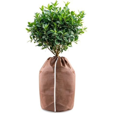 Bunthaus Housses D’hivernage Pour Plantes En Pot, 40x40cm Housses Hivernage, Housse Hivernage Plante, Housse D’hivernage, Brun