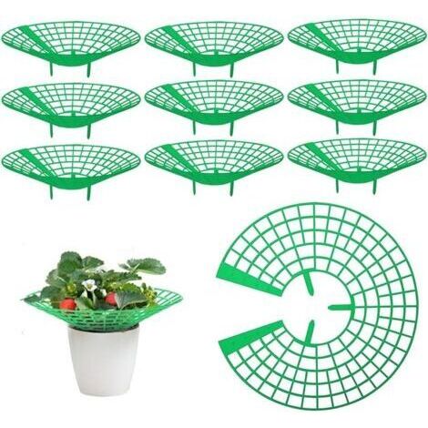 Bunthaus 10 Pièces Supports Pour Fraisier, Supports Pour Plantes Fraises Protection De Fraises De Jardin Supports De Culture De Fraises Tour Fraises Filets De Fraises Pour Plantes, Légume, Fleur
