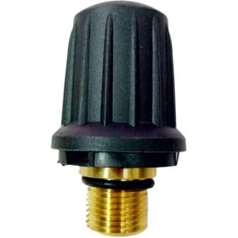 Bunthaus Bouchon De Soupape De Sécurité En Laiton De Rechange 4.590-105.0 Pour Nettoyeur Vapeur Karcher Sc1.010 Sc1.020 Sc2.000 Sc3.000 Series Accessoires Bouchon De Sécurité De Remplacement C