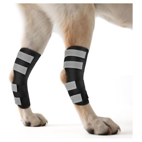 Bunthaus Genouillère Pour Chien 2 Unités For Pattes Arrière Avec Sangles Réfléchissantes, Attelle Pour Jambe Offrant Un Soutien Articulaire Pour La Guérison Des Blessures Et Des Entorses,m