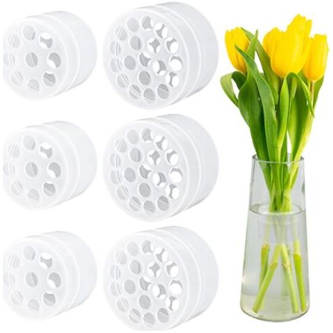 Bunthaus Lot De 6 Supports De Fleurs - En Spirale - Transparent - Pour Tige De Fleur - Vase Ikebana - Accessoire De Composition Florale Diy - Ikebana Twister
