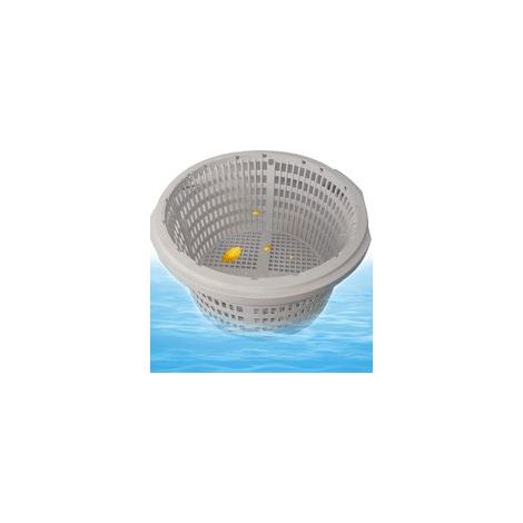 Gris Panier Filtrant De Rechange Hayward Sp1091lx Pour Écumoire De Piscine En Plastique