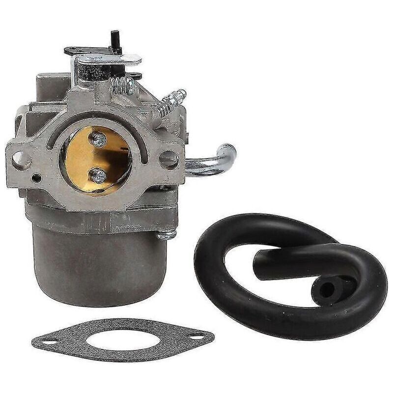Vergaser Briggs & Stratton 796077, 590399