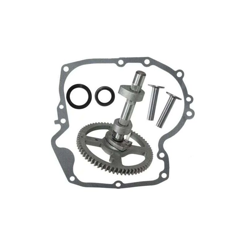 Briggs & Stratton 793880 Nockenwellen-reparatursatz – Passend Für 4-takt-motoren – Inklusive Kurbelgehäusedichtungen Und Öldichtungen – Hohe Qualität