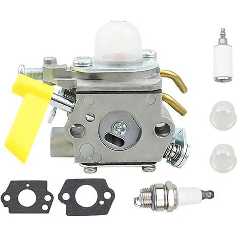 Kit Carburateur 5 Pièces Avec Joints Et Bougies – Adapté 30cc Ry09050 – C1u-h60
