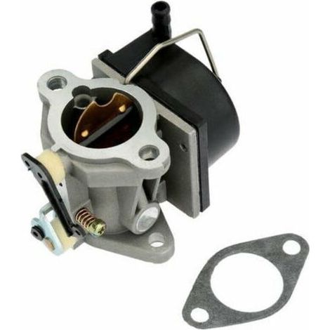 Carburateur Pour Tecumseh 640065, 640065a – Ov358ea, Ovh135 – Avec Joint