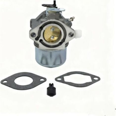 Carburateur 699831 Pour Pompe D'Accélération À Économie De Carburant Briggs Stratton 283702 694941