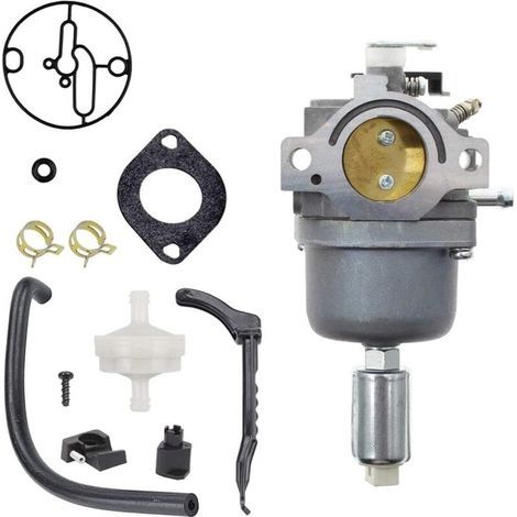 Carburateur Pour Briggs & Stratton 287707, 287777, 310777, 690194 – Réf 799727