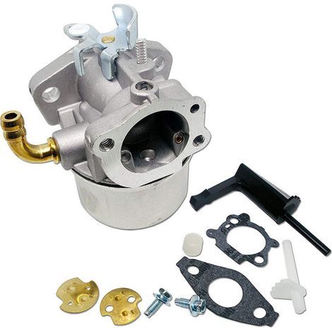 Carburateur Compatible Modèles 591299, 798650, 698474, 791991, 698810, 698857