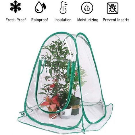 Serre Mini Couverture Plante Pop Up Serres Pvc Jardin Protection Pour La Culture Des Fleurs Jardinage Abri Pluie Tentes Gel Pour Plantes Extérieures Salle De Soleil