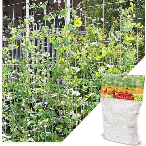 (1,67m X 5 M)filet Pour Plantes Grimpantes, Grande Maille Filet Tuteur, Grimpante En Polyethylene Filet De Treillis, Pourtomates, Raisins, Concombres, Autres Fruits Et Légumes, Blanc