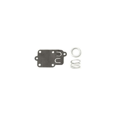 Membrane Carburateur Briggs Et Stratton