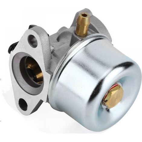 Bunthaus Carburateur Pour Briggs & Stratton Kit De Remplacement Avec Joint Torique 799868 498254 497347 497314 498170 799872 Carb 50-657 Accessoires