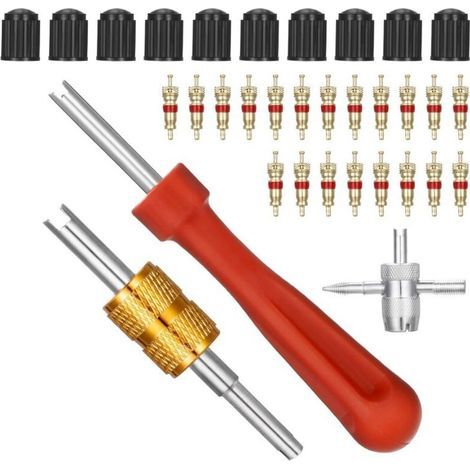 Pair Kit D'Outils De Réparation De Dissolvant De Noyau De Valve + 1 Outil De Valve Quadruple + 10 Bouchons De Valve De Pneu De Voiture + 20 Noyaux De Valve Pour Le Remplacement De Moto De Vélo
