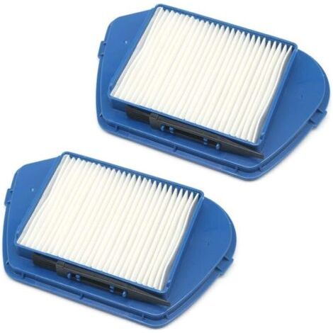 Bunthaus Lntyq Kit D'Accessoires Pour Aspirateur 2 Pièces Filtres À Poussière Hepa Pour Rowenta Ro53 Compacteo Ergo Cyclone-zr005501 Zyklon Zr005501